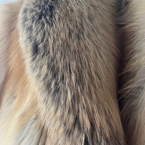 Beautiful Golden island fox coat - Picture 8 of 16